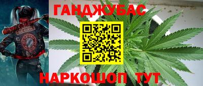 сатива Мариинск