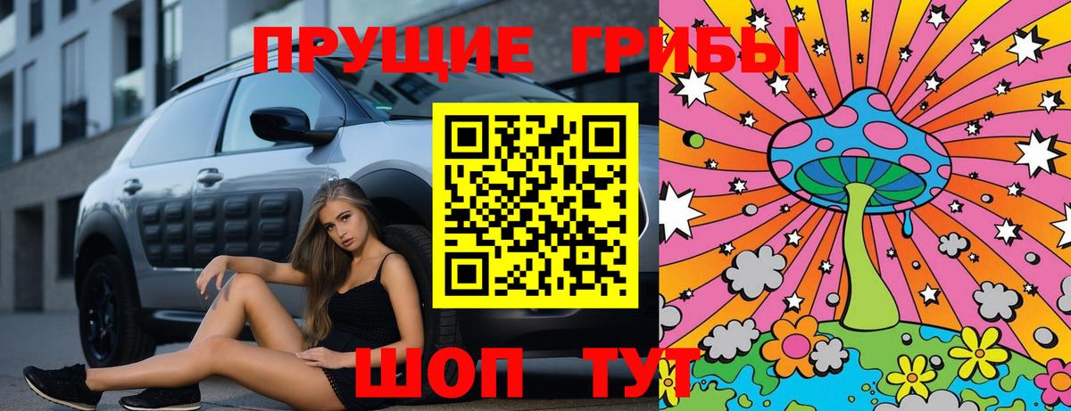 как найти наркотики  Вход с VPN  Югорск  Галлюциногенные грибы Psilocybine cubensis 